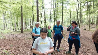 Kliknite za ogled večje slike