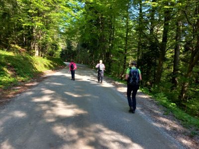 Kliknite za ogled večje slike