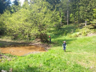 Kliknite za ogled večje slike