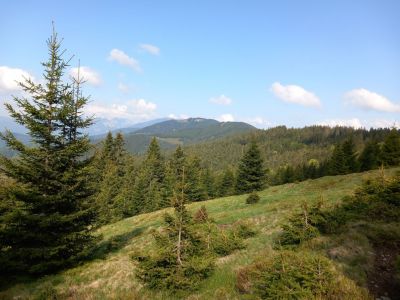 Kliknite za ogled večje slike