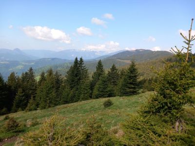 Kliknite za ogled večje slike
