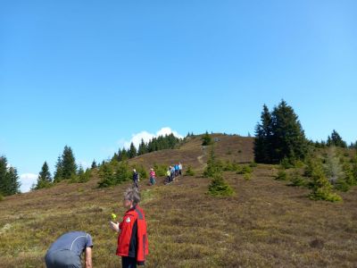 Kliknite za ogled večje slike
