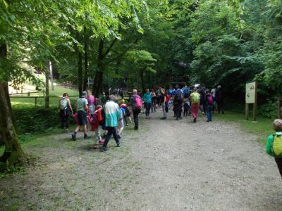 Kliknite za ogled večje slike
