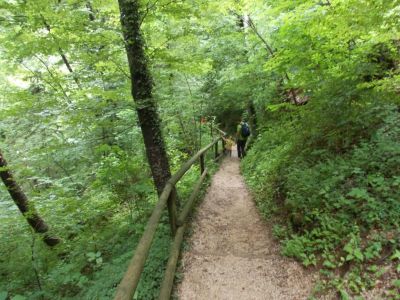 Kliknite za ogled večje slike
