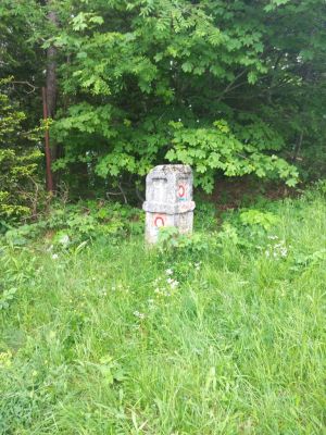 Kliknite za ogled večje slike