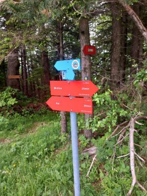 Kliknite za ogled večje slike