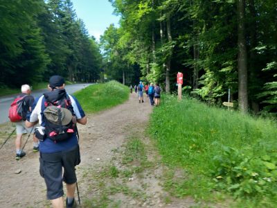 Kliknite za ogled večje slike