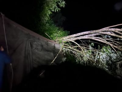 Kliknite za ogled večje slike
