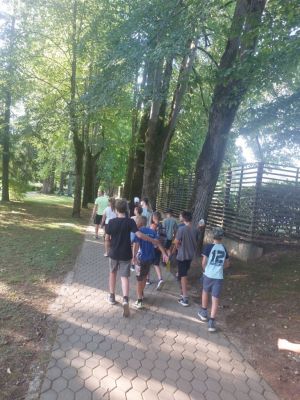 Kliknite za ogled večje slike