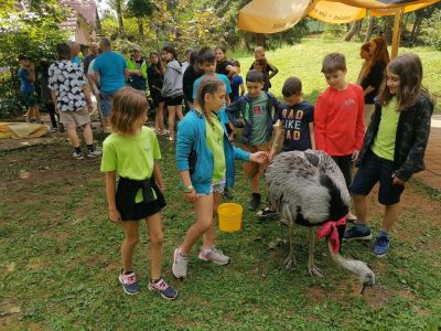 Kliknite za ogled večje slike