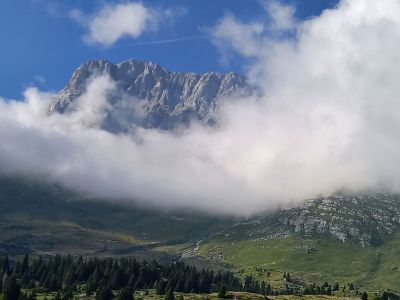 Kliknite za ogled večje slike
