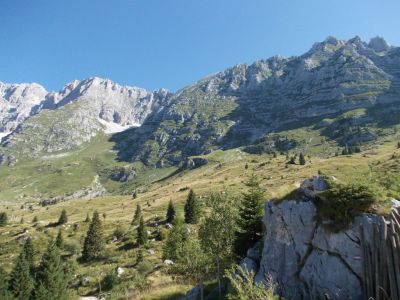 Kliknite za ogled večje slike