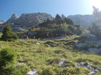 Kliknite za ogled večje slike