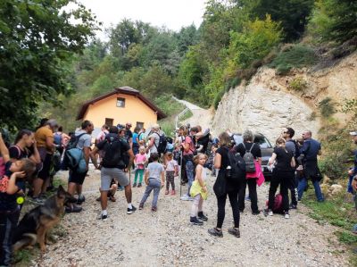 Kliknite za ogled večje slike