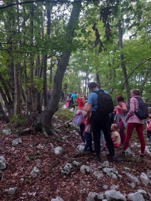 Kliknite za ogled večje slike
