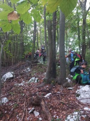 Kliknite za ogled večje slike