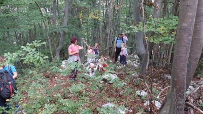 Kliknite za ogled večje slike