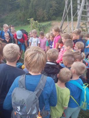 Kliknite za ogled večje slike