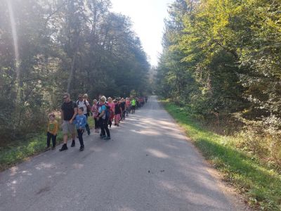 Kliknite za ogled večje slike