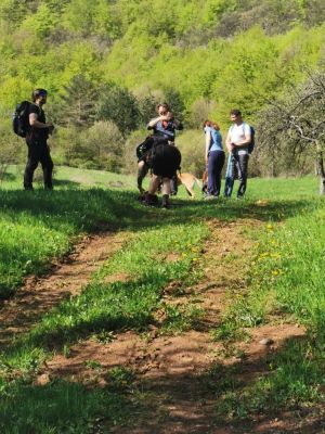 Kliknite za ogled večje slike