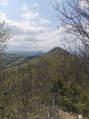 Kliknite za ogled večje slike
