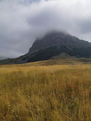 Kliknite za ogled večje slike