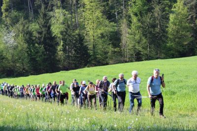 Kliknite za ogled večje slike