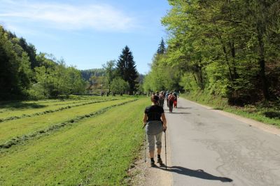 Kliknite za ogled večje slike