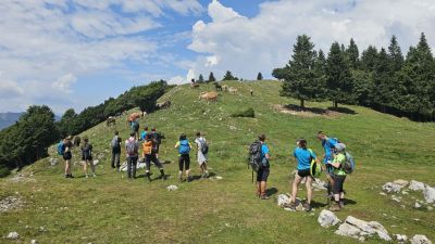 Kliknite za ogled večje slike
