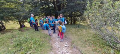 Kliknite za ogled večje slike