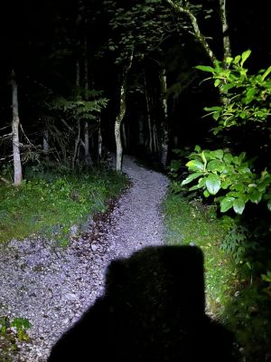 Kliknite za ogled večje slike