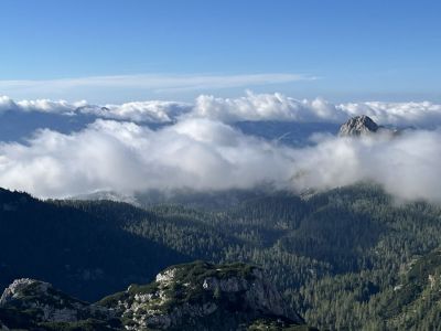 Kliknite za ogled večje slike