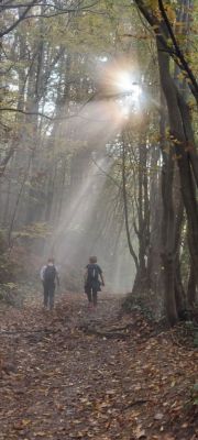 Kliknite za ogled večje slike