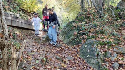 Kliknite za ogled večje slike