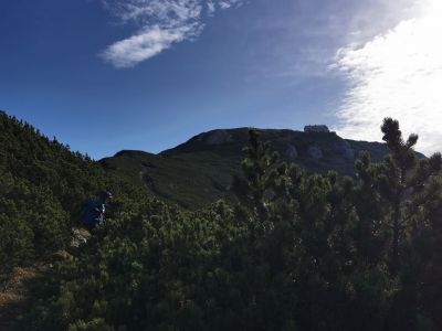Kliknite za ogled večje slike