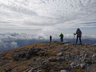 Kliknite za ogled večje slike
