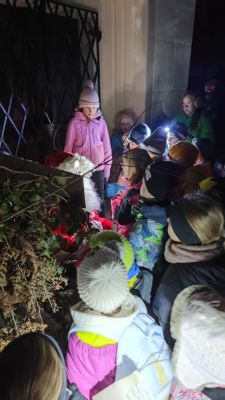 Kliknite za ogled večje slike