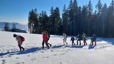 Kliknite za ogled večje slike