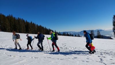 Kliknite za ogled večje slike