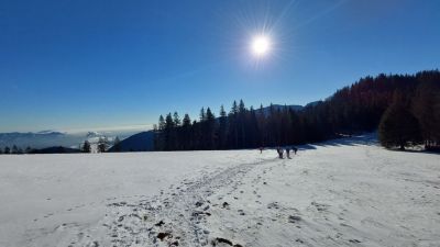 Kliknite za ogled večje slike