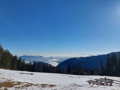 Kliknite za ogled večje slike