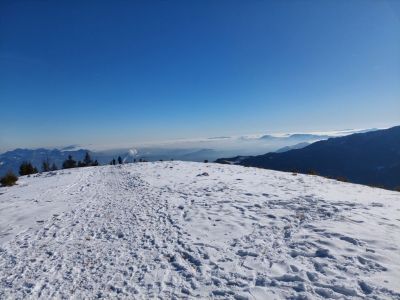 Kliknite za ogled večje slike