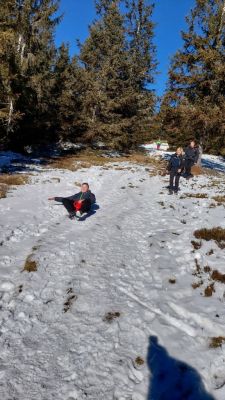 Kliknite za ogled večje slike