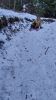 20250118_133022.jpg