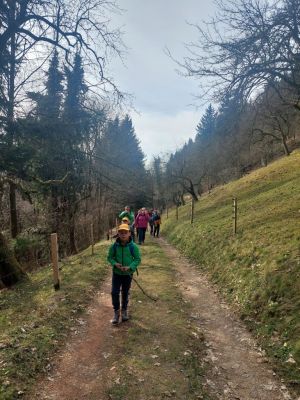 Kliknite za ogled večje slike