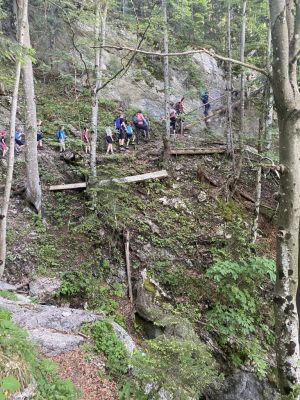 Kliknite za ogled večje slike