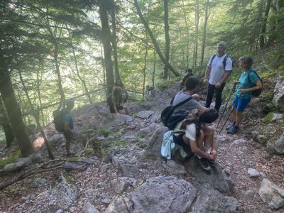 Kliknite za ogled večje slike