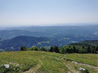 Kliknite za ogled večje slike