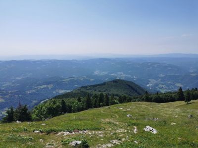 Kliknite za ogled večje slike