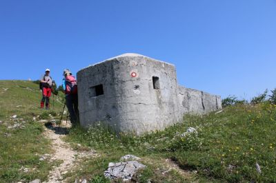 Kliknite za ogled večje slike